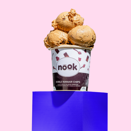 Pote Doble Manjar Chips 475 ml